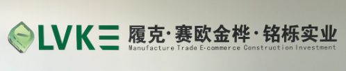 Fujian Sai'ou Jinhua Trading Co., Ltd. – Running shoes 1
