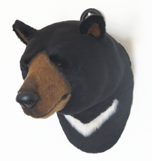 Bear Head