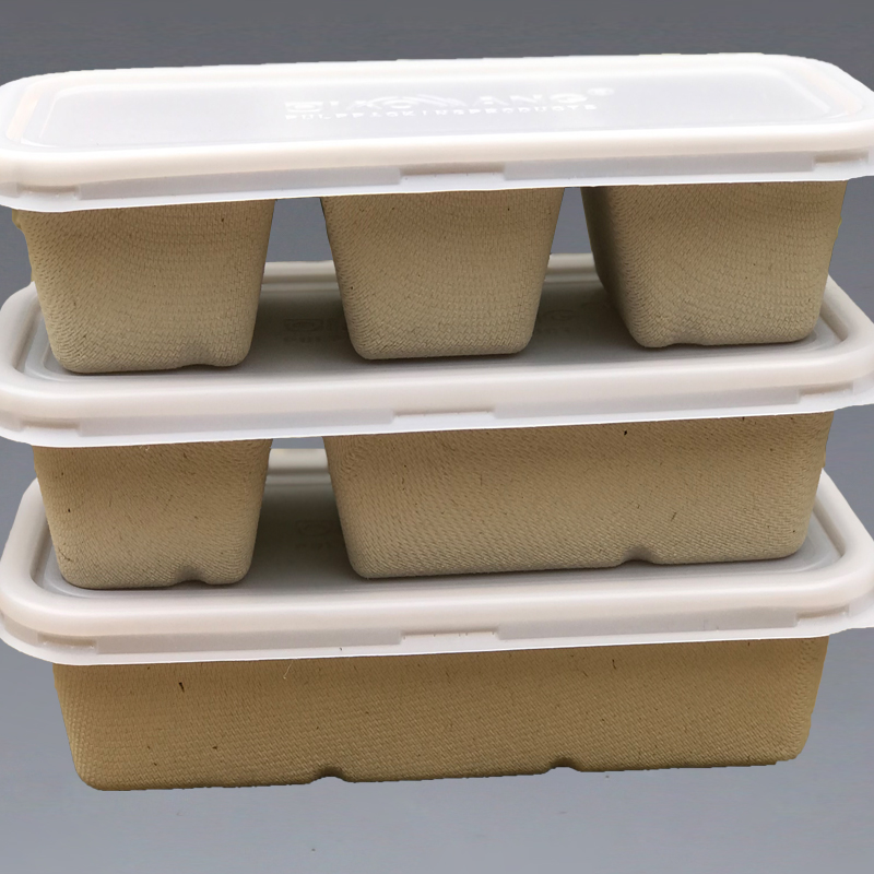 Guangxi Qiaowang Pulp Packing Products Co.,Ltd – cubiertos de acero 4