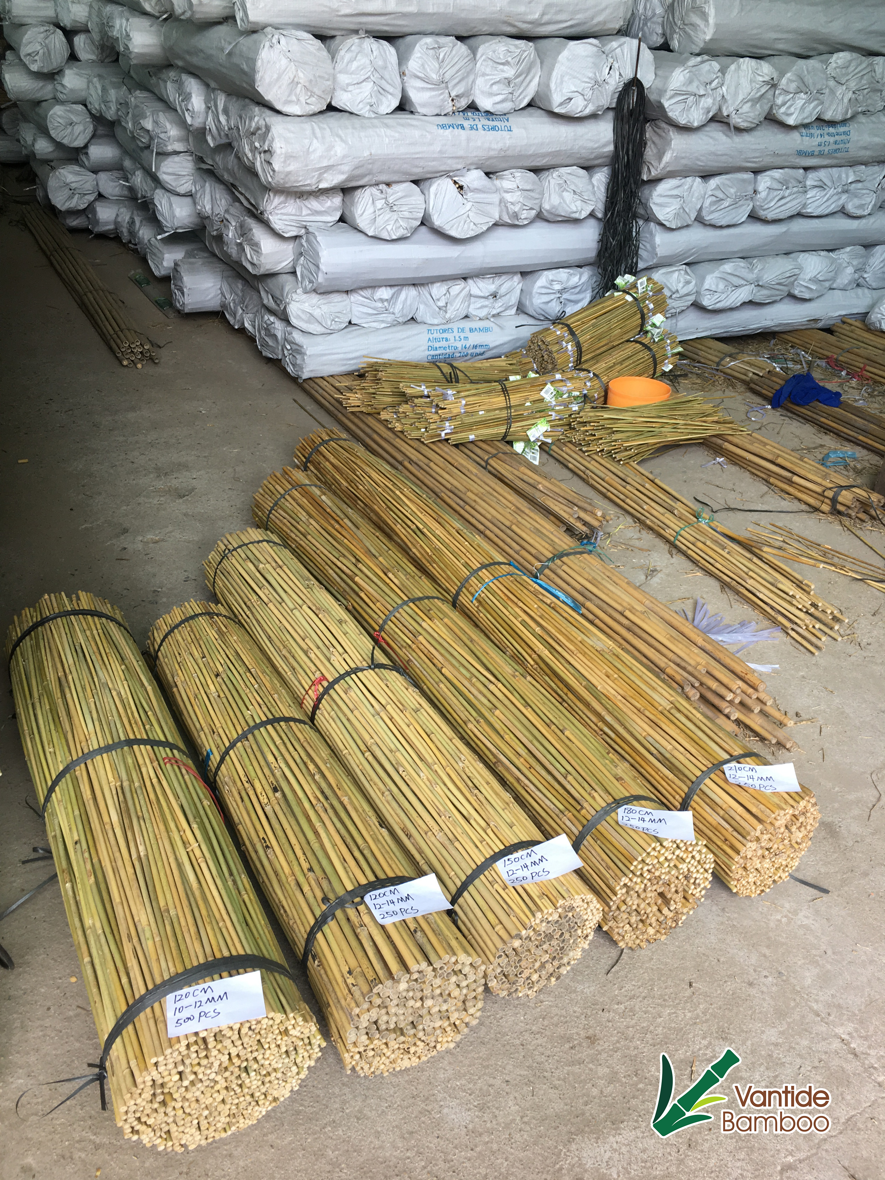 Bamboo Cane