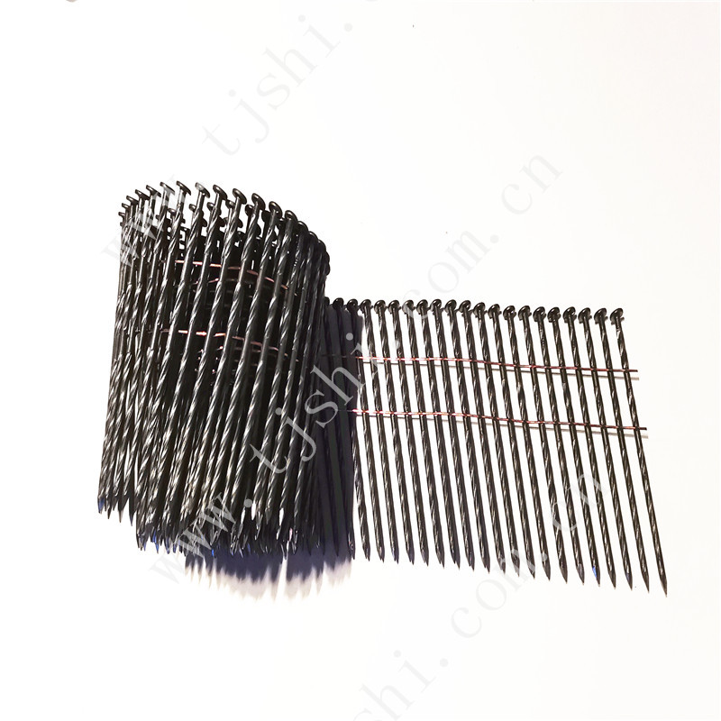 Coil Nail