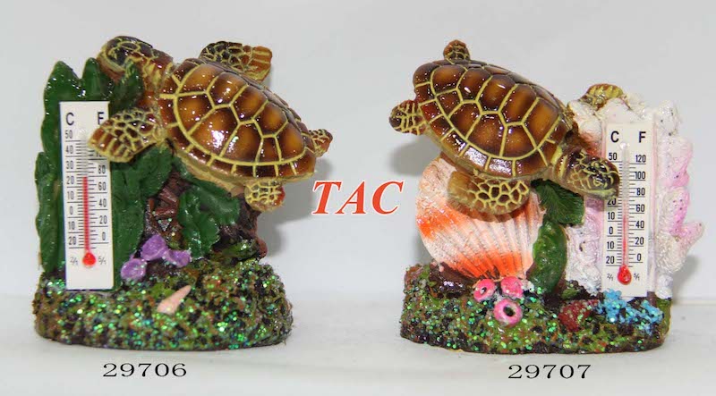 Turtle With Thermometer
