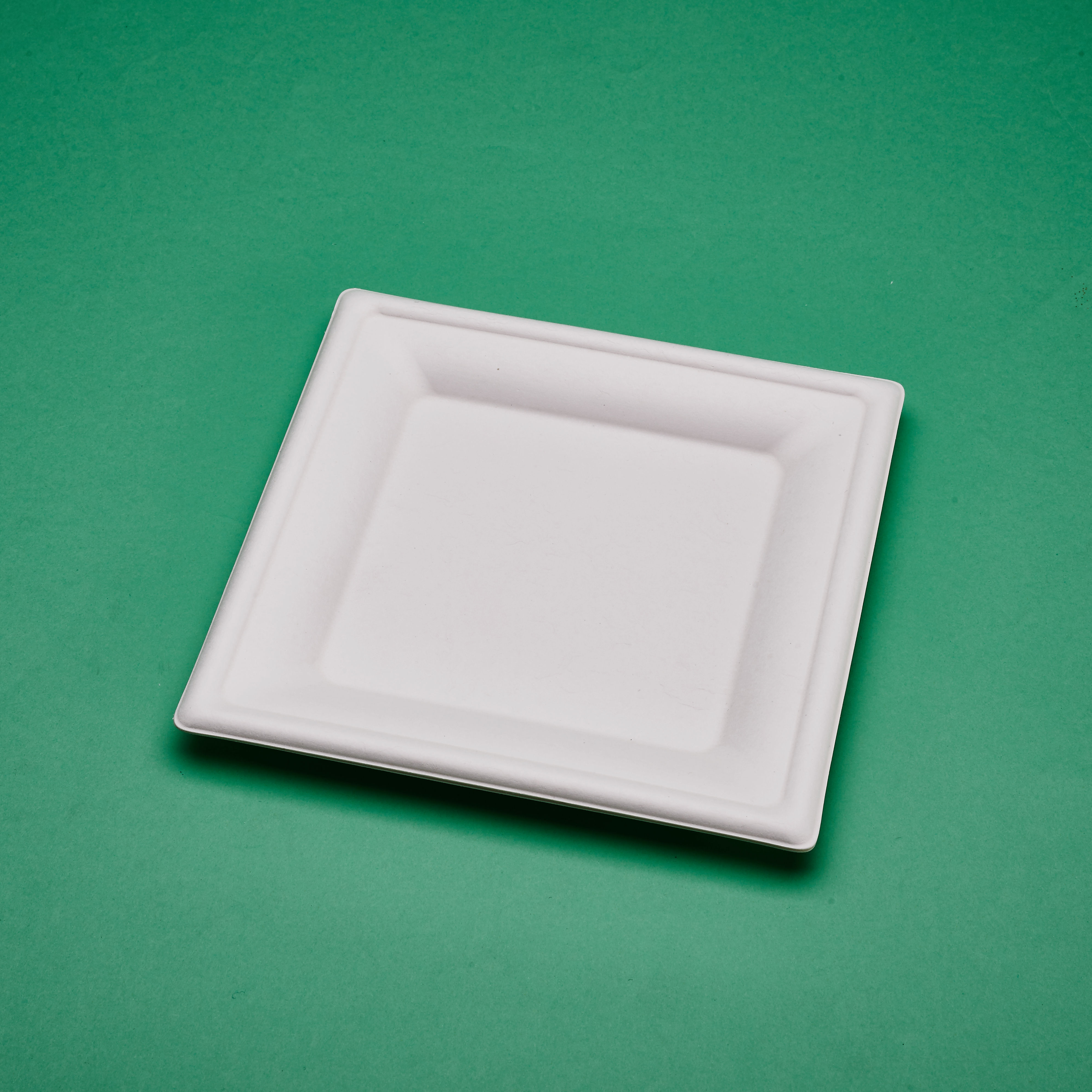 disposable biodegradable sugarcane 8 inches square plates