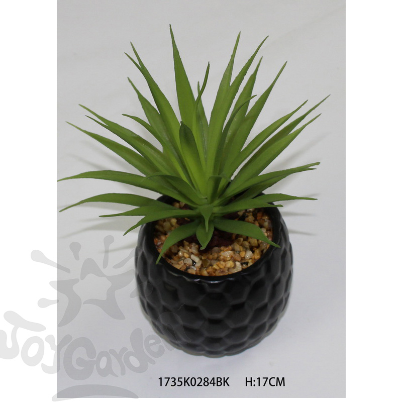 Artificial Succulent in pot