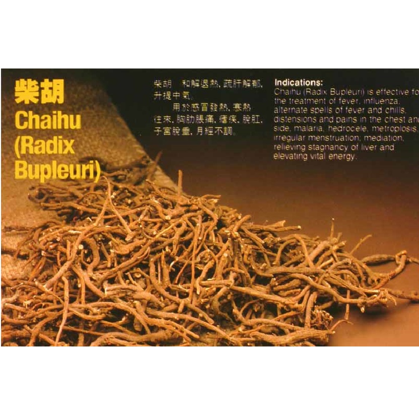 Chinese Thorowax Root;Radix Bupleuri
