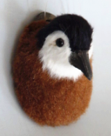Penguin Head