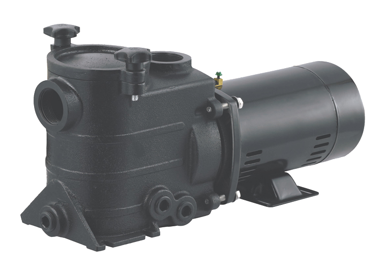 Cast Iron Pool And Spa Pumps