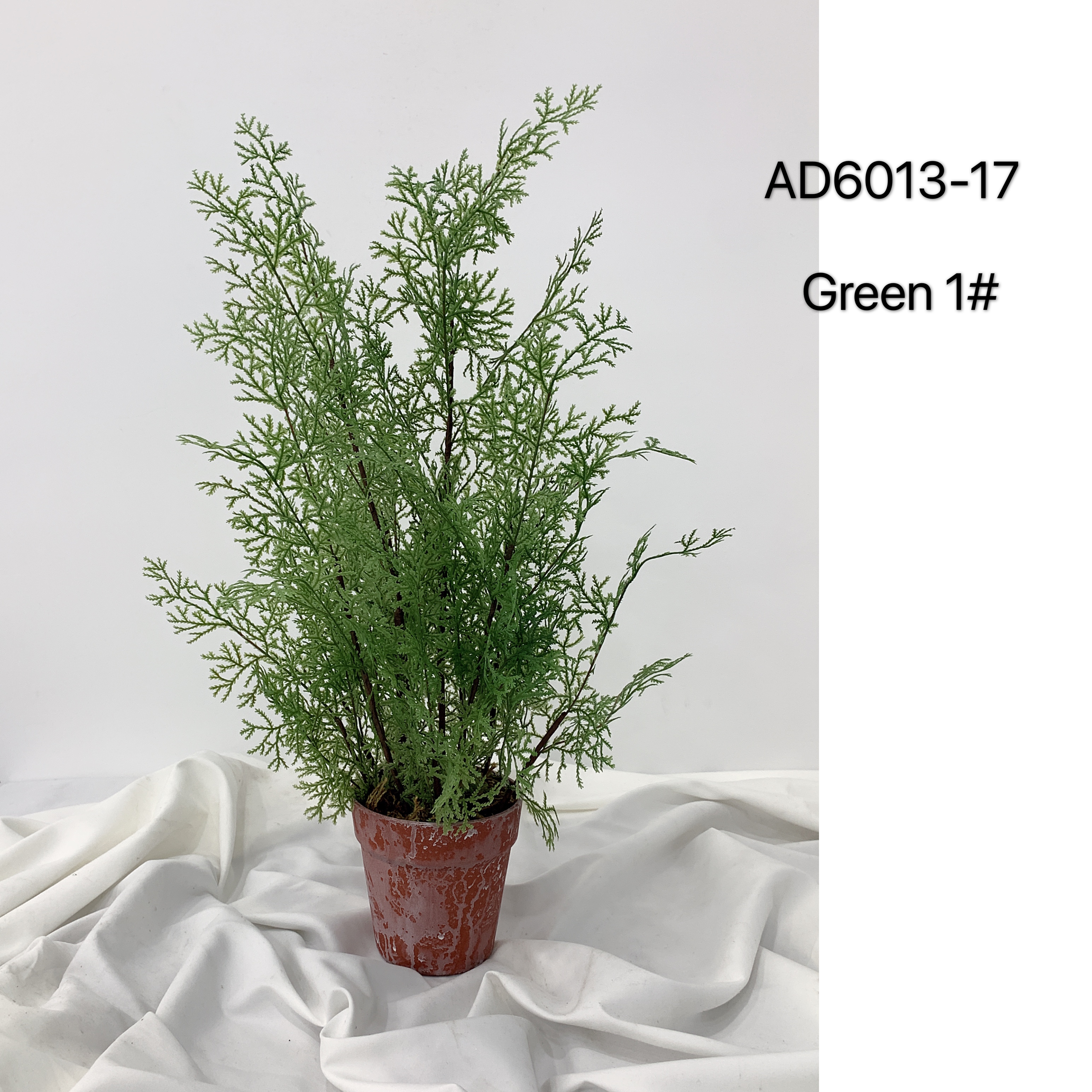 Leaves Potted