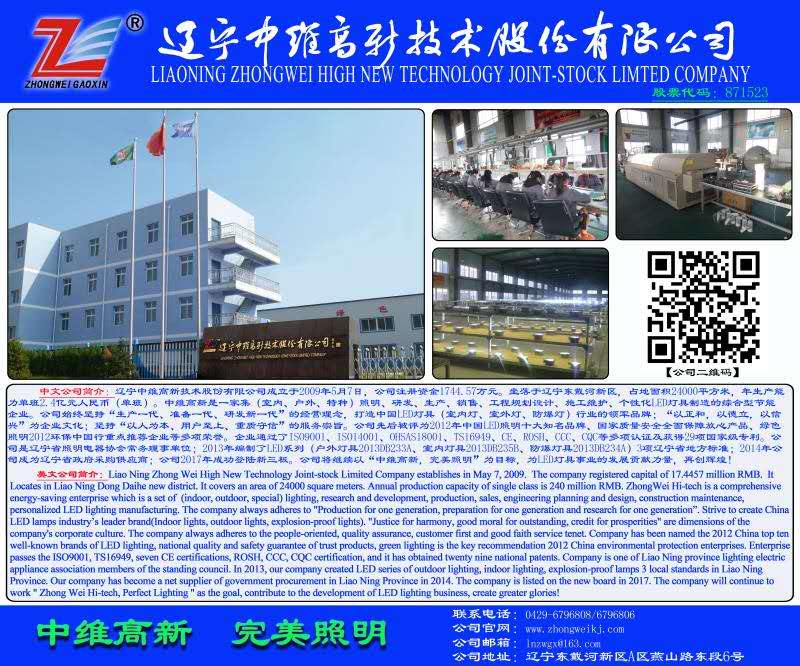 Liaoning Zhongwei High-tech Co., Ltd. – LED lighting series 1