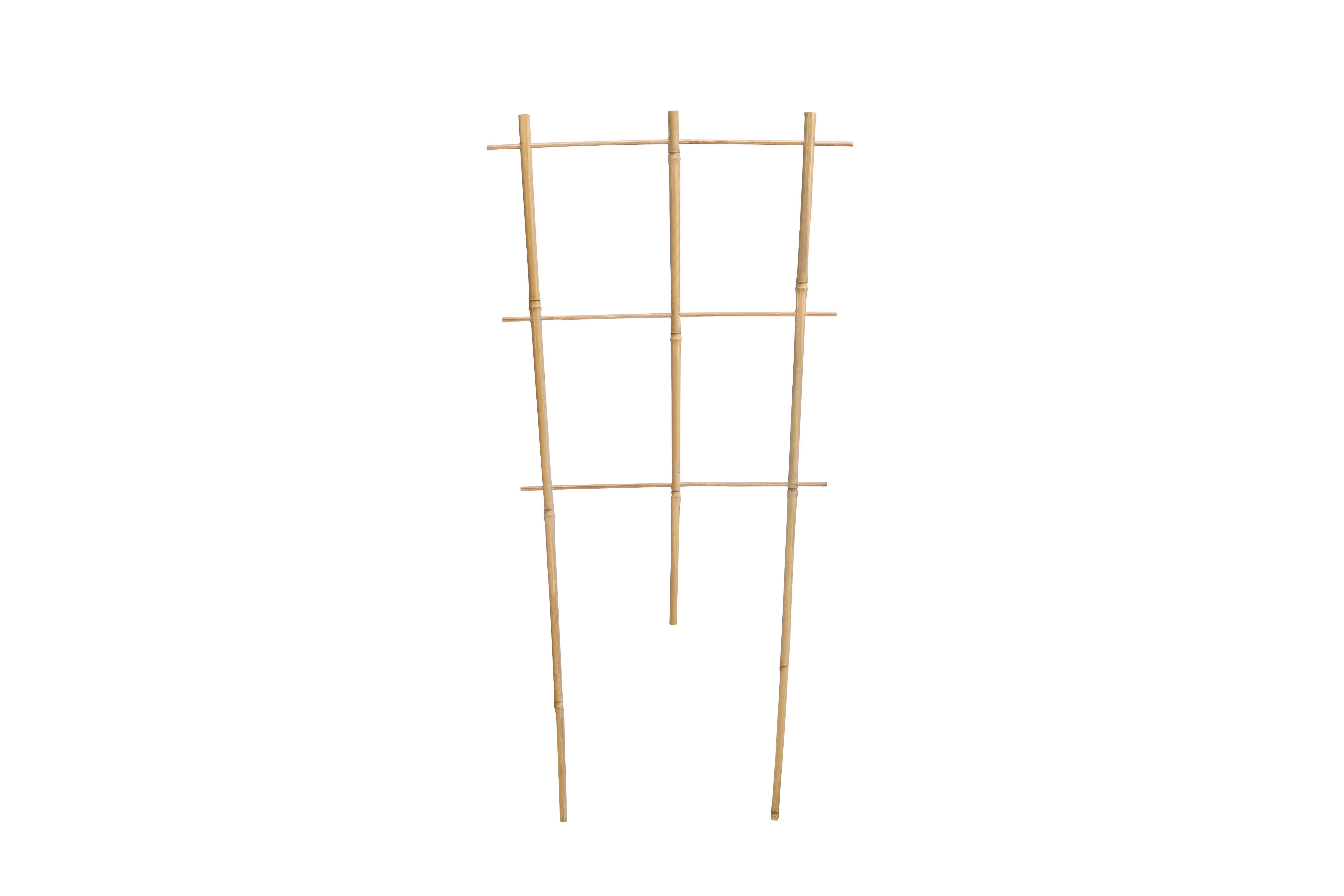 Bamboo Ladder No.100231