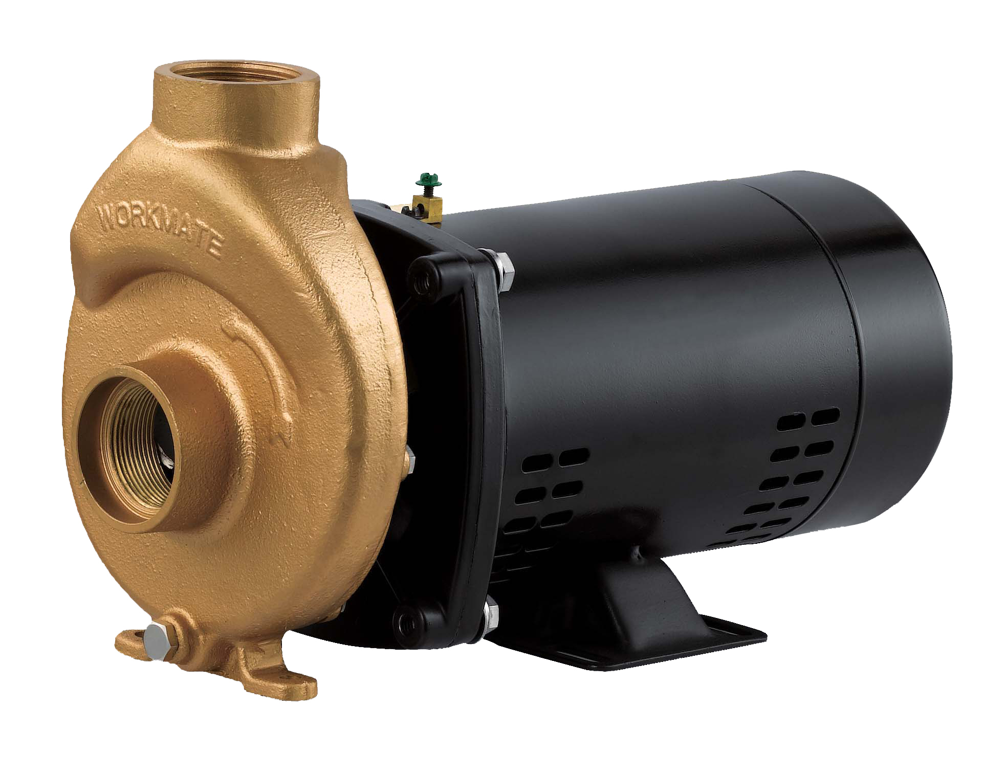 Bronze Pool And Spa Pumps