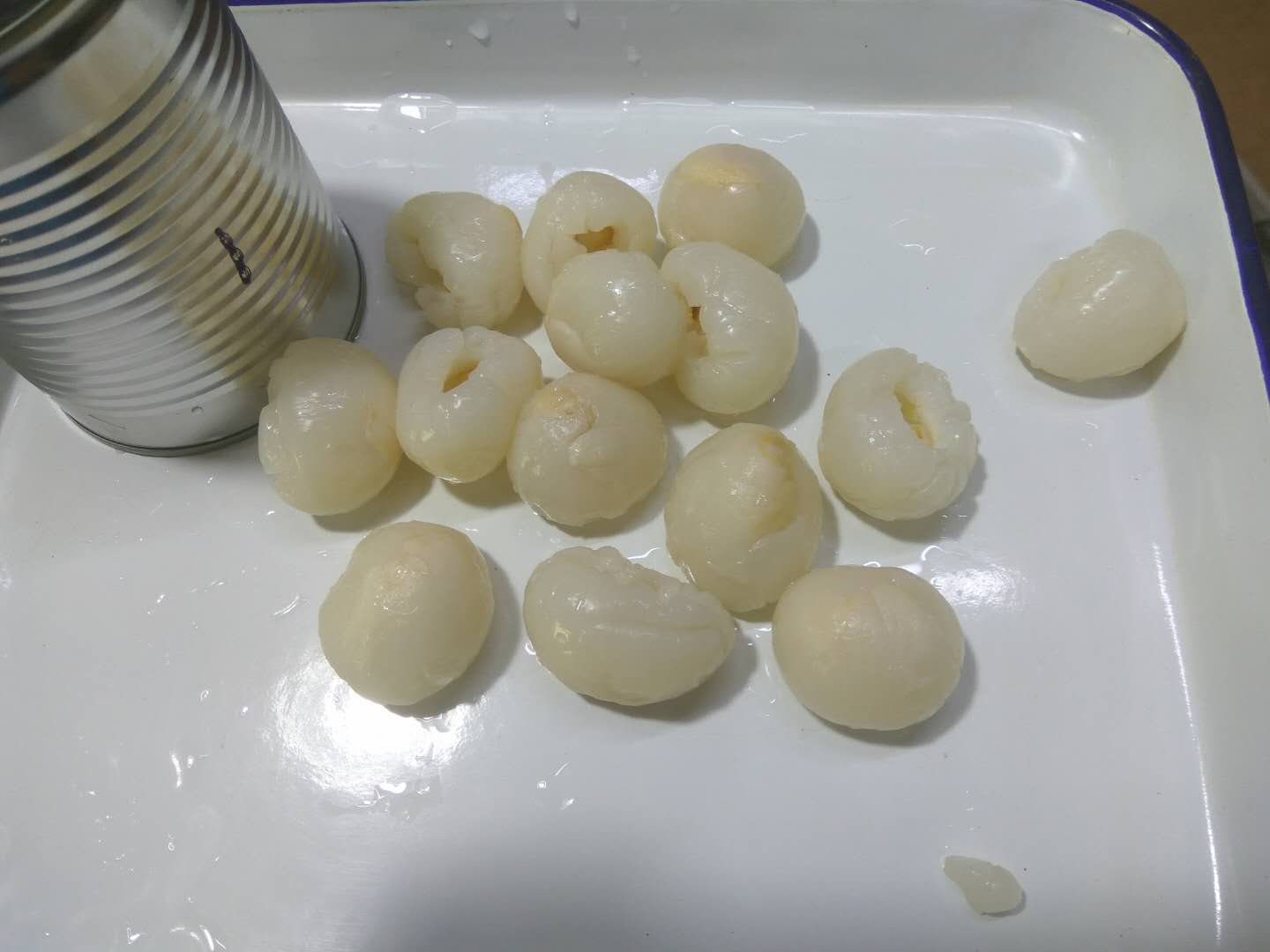 ZHANGZHOU TONGFA FOODS INDUSTRY CO,.LTD – raqueta de tenis 2