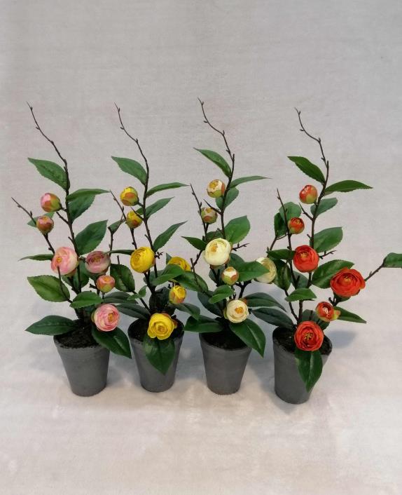 0130#potted Rose