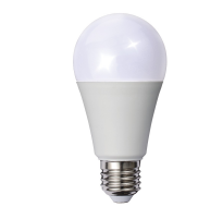 LED A60 Bulb