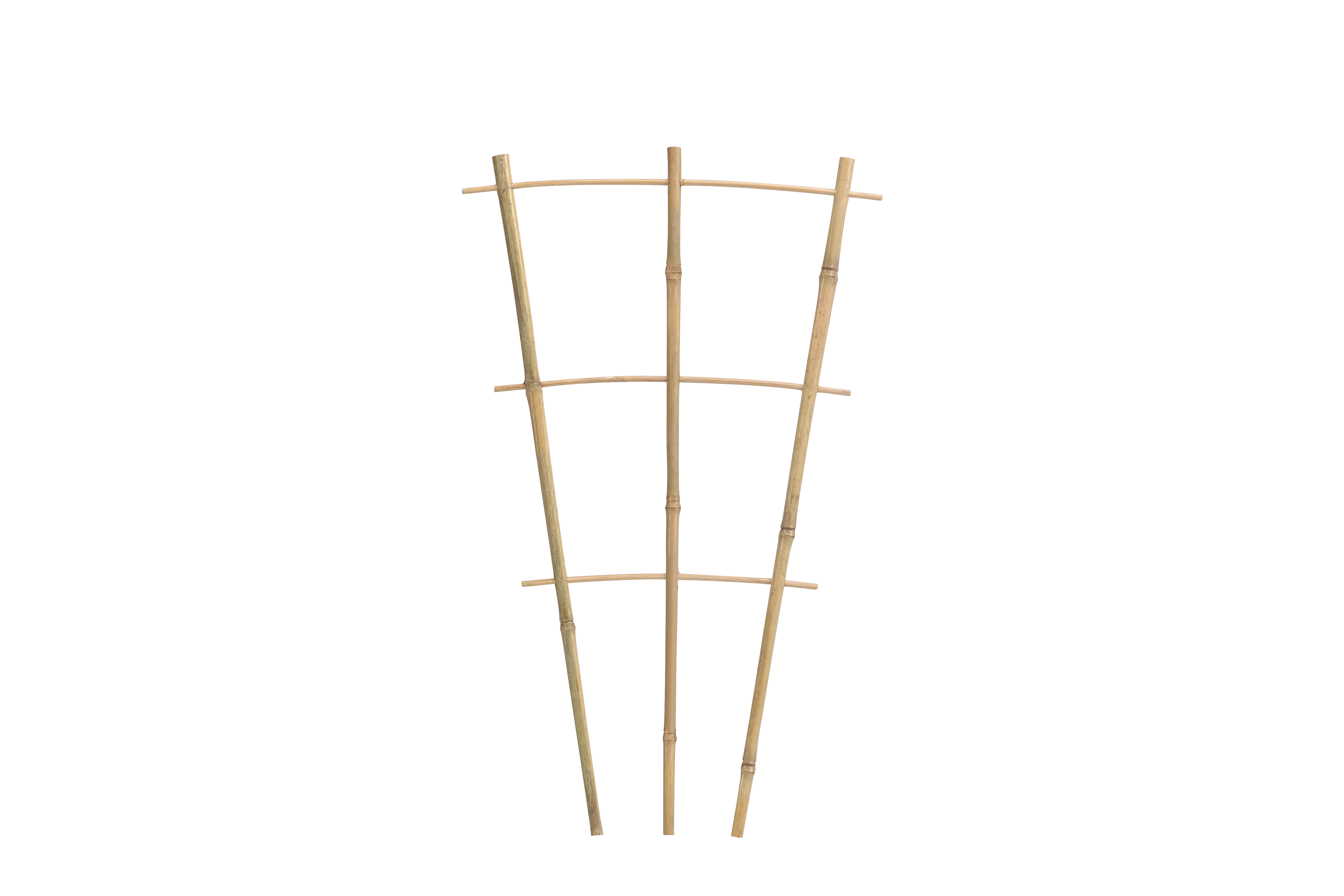 Bamboo Ladder