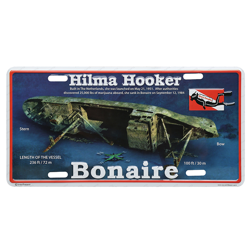 France factory price OEM design souvenir 3d embossed funny decorative car license plate