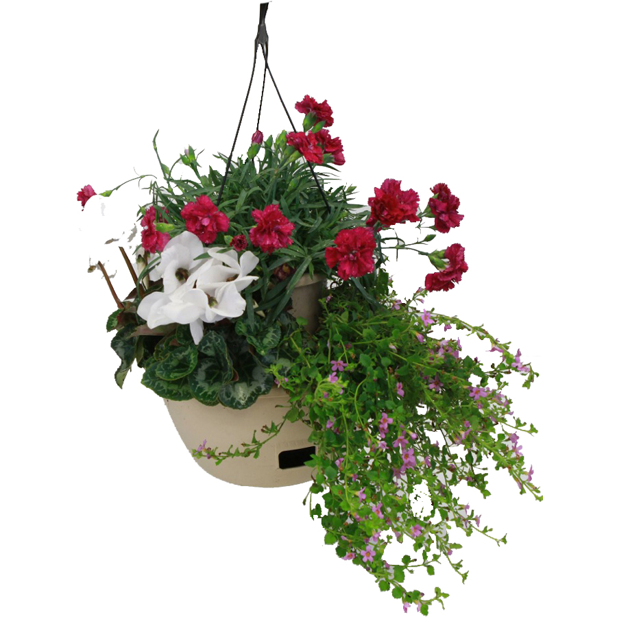 Hanging Pot