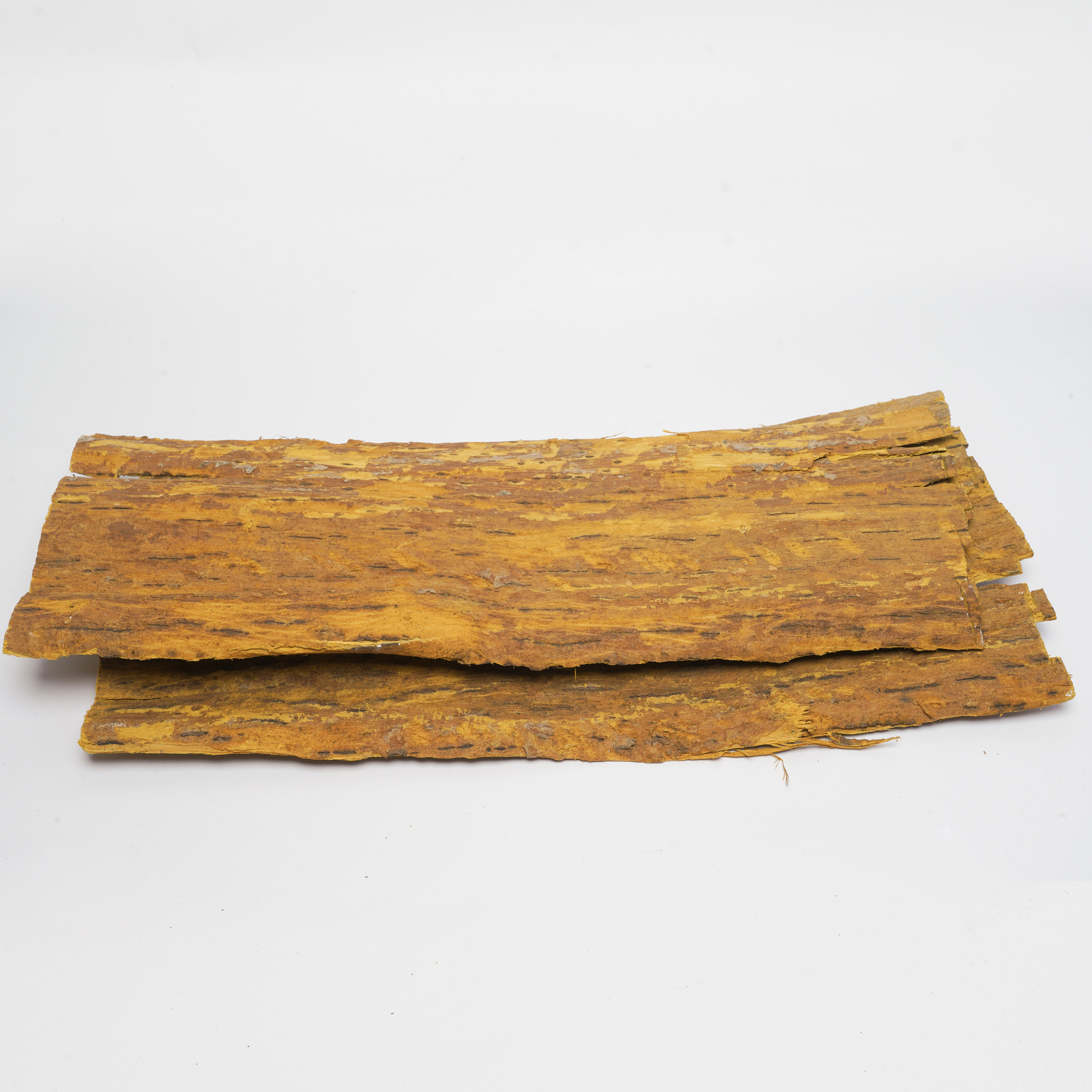 Cortex Phellodendri Chinensis
