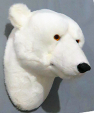 Polar Bear Head