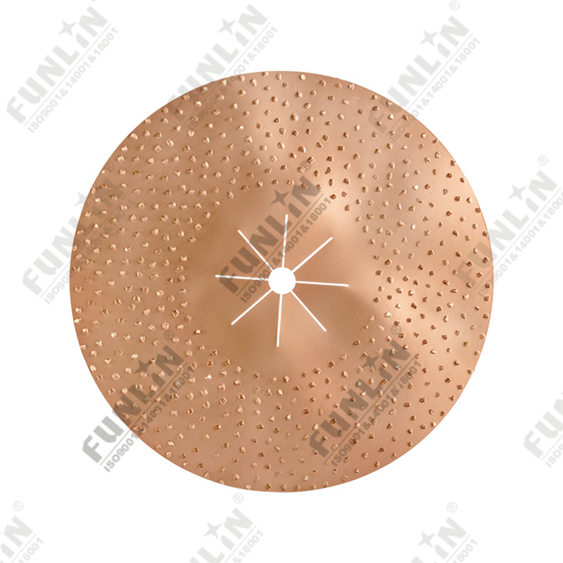 Carbide gritted disc