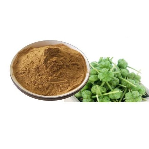 Tribulus Terrestris extract
