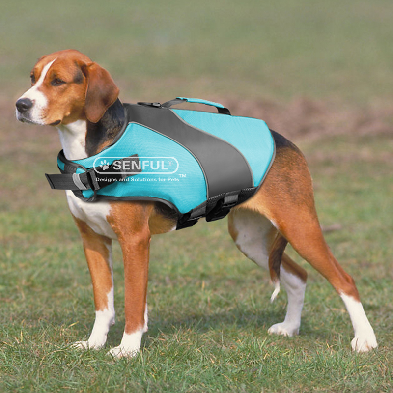 Dog Life Jacket