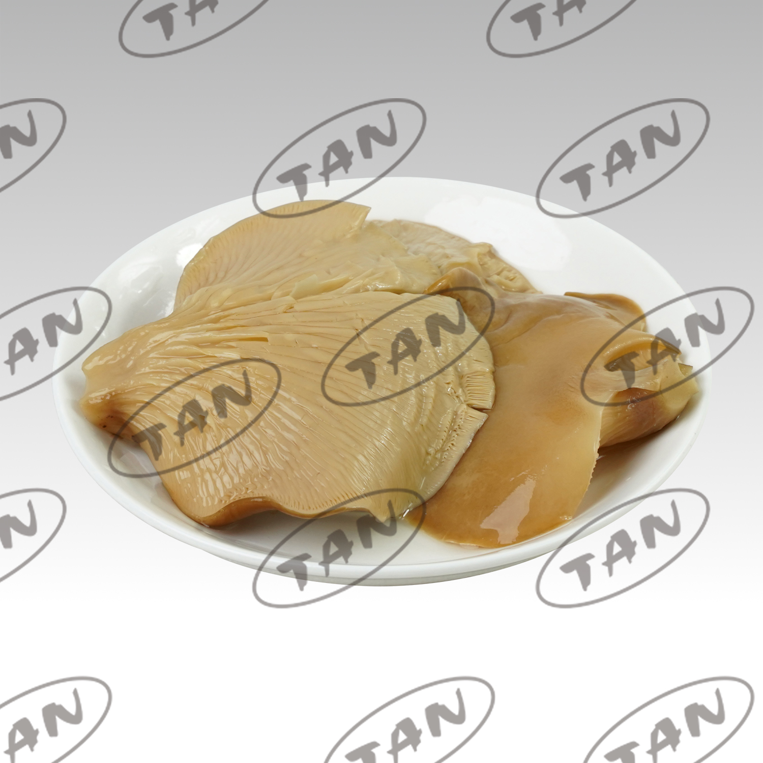 canned abalone mushroom