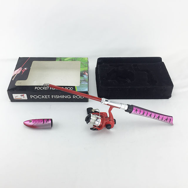 Pen Fishing Pole set