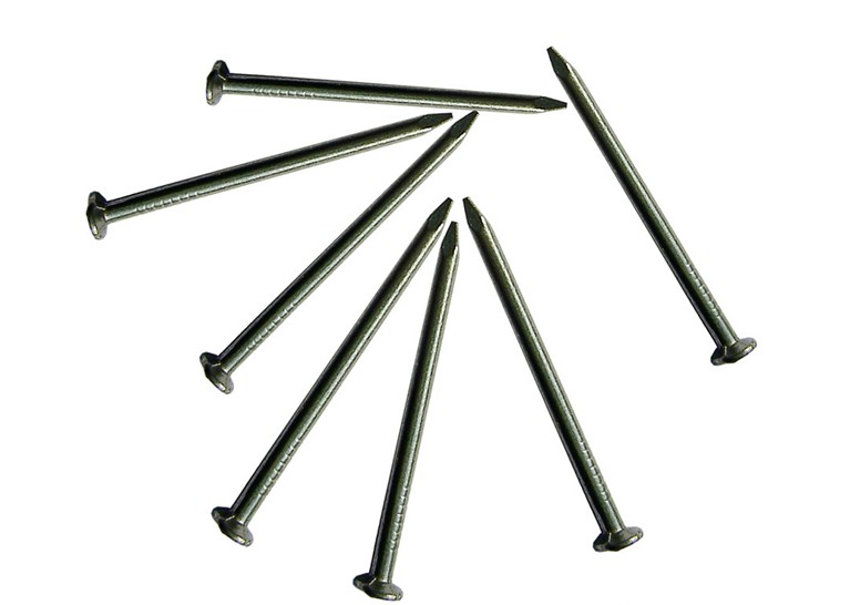 Common Iron Wood Nails