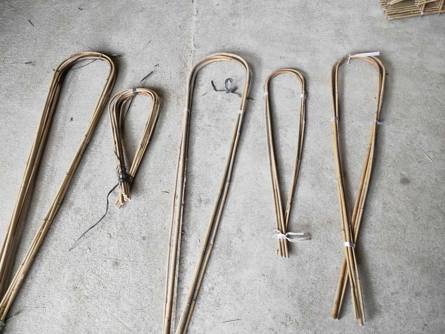 Bamboo in U-shape