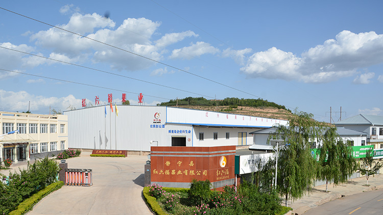 Jingning County Hongliu Fu Fruit Industry Co., Ltd. – fresh apple 1