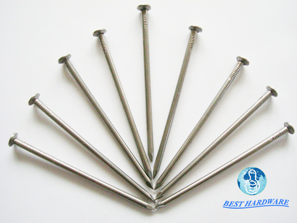 Hot Dipped Galvanized Common Nail