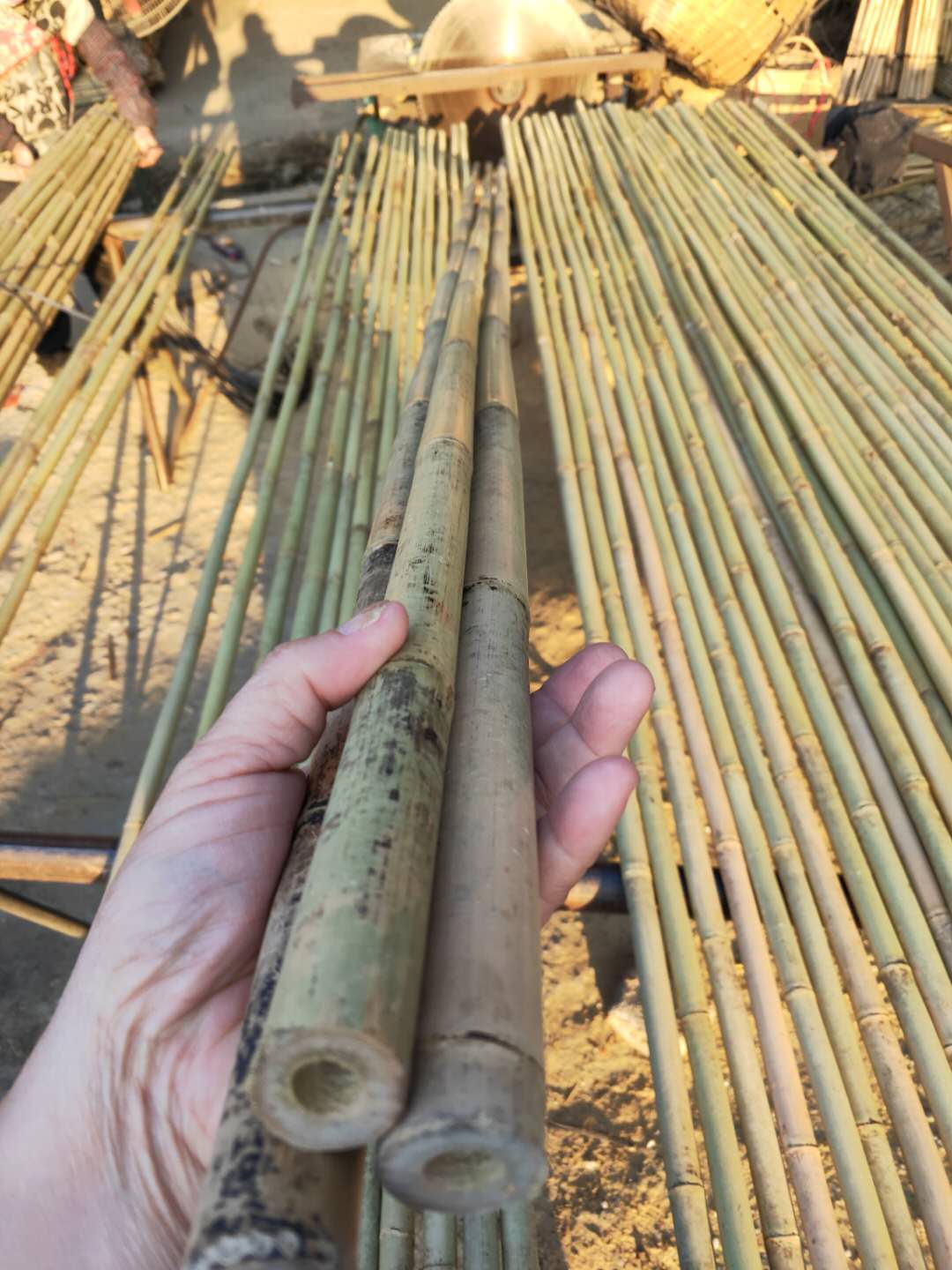 Tonkin Bamboo Cane