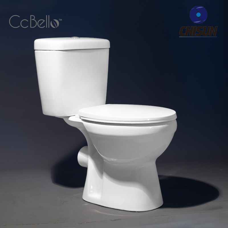 Washdown One piece toilet