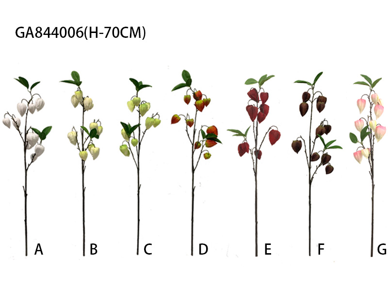 Single phasalis branch (H-70CM)