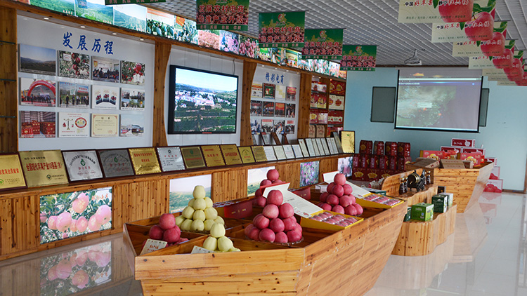 Jingning County Hongliu Fu Fruit Industry Co., Ltd. – Photos produits 2