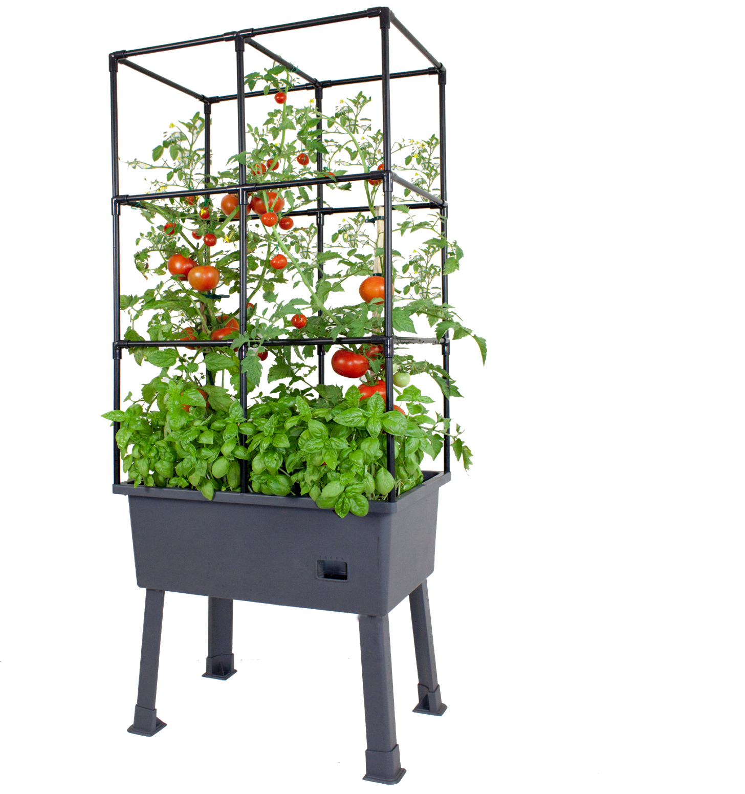 Large Raised Garden Bed