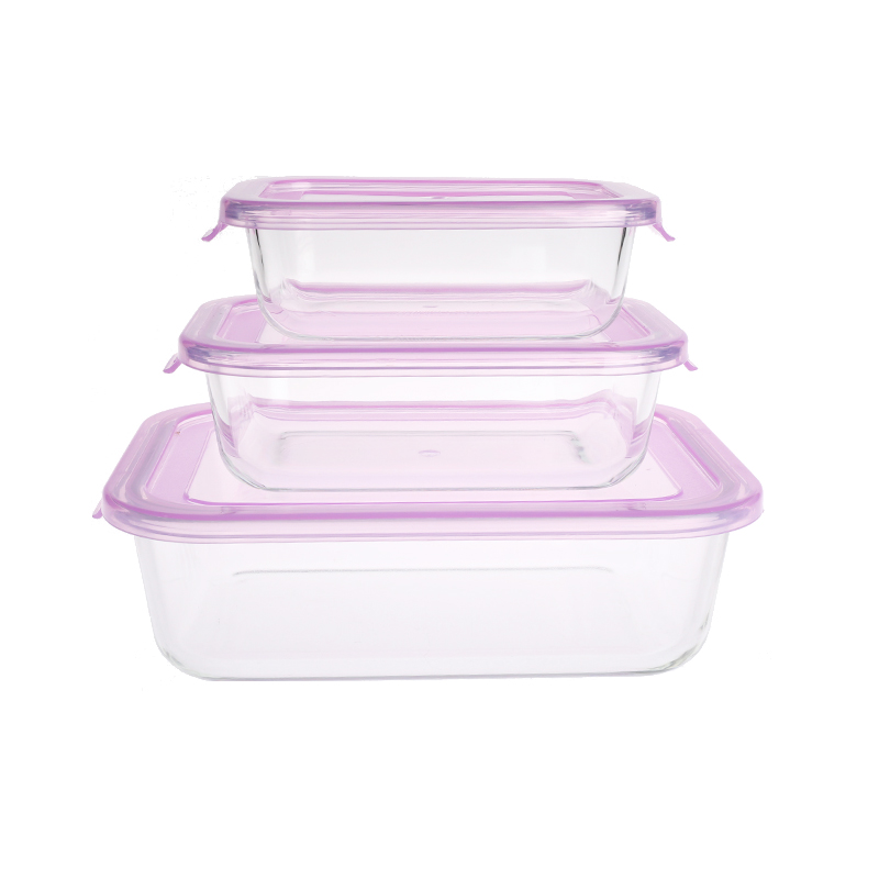 Borosilicate glass food container