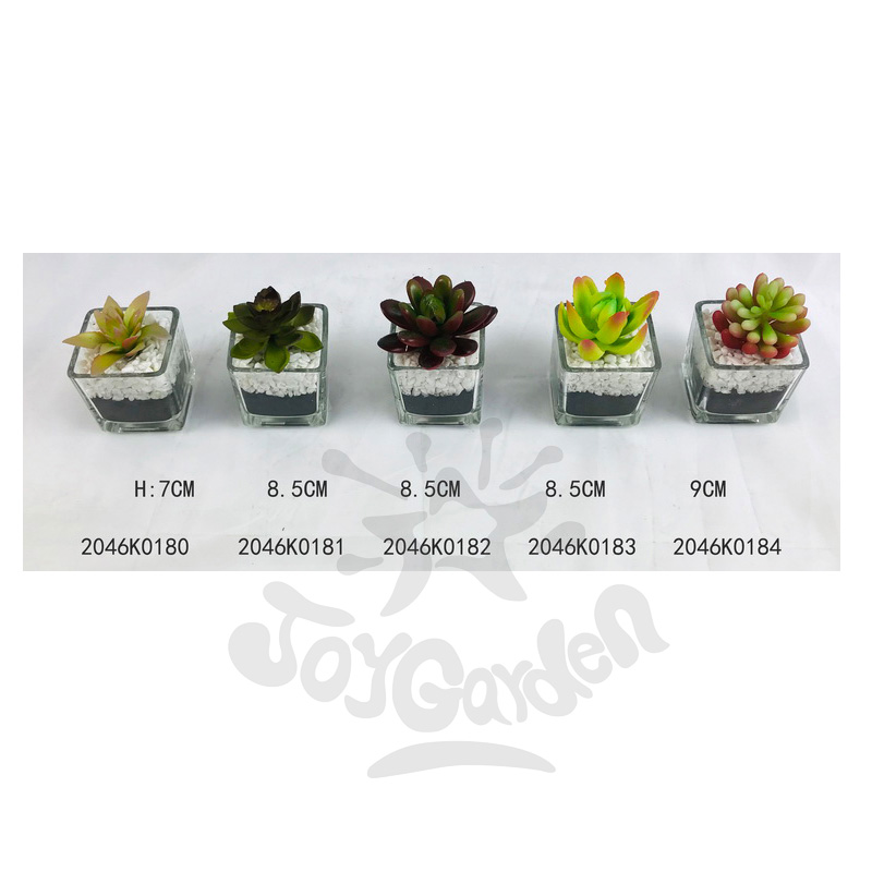 Artificial Succulent in pot