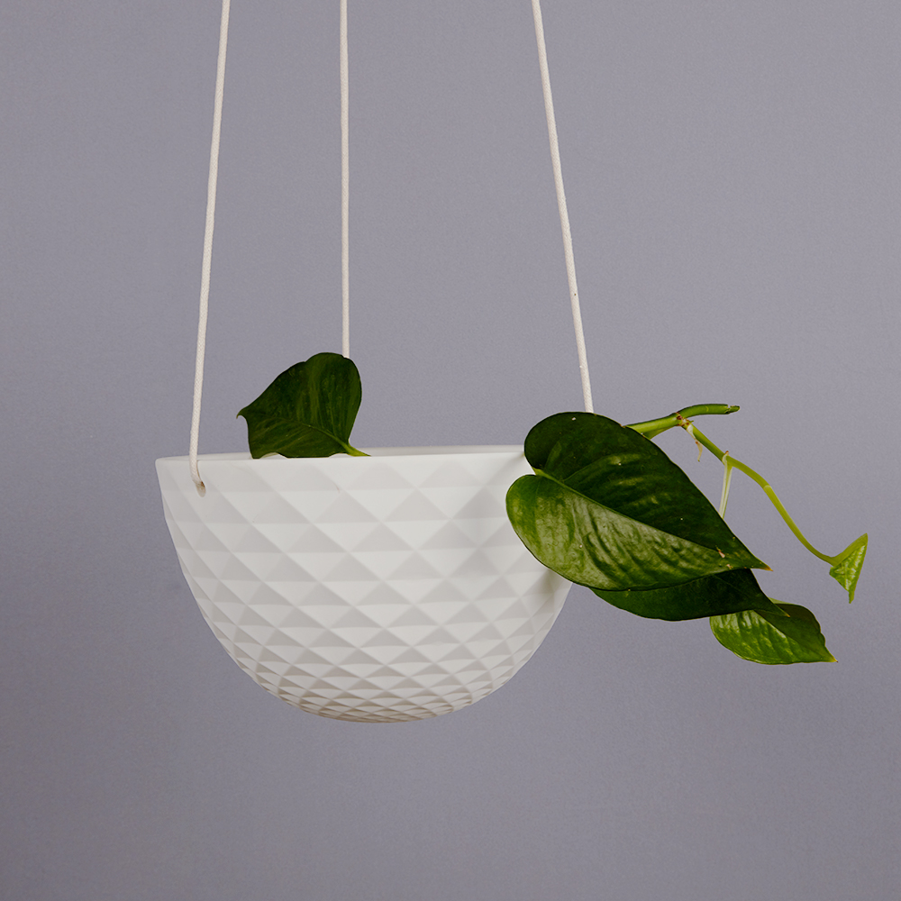hanging planter