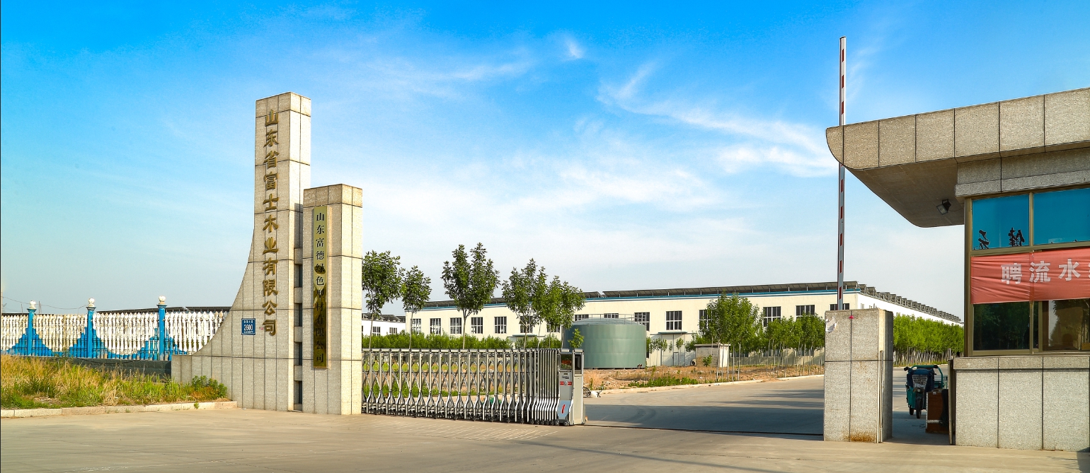Shouguang Fuji Wood Industry Co., Ltd. – fiberboard/density board 2