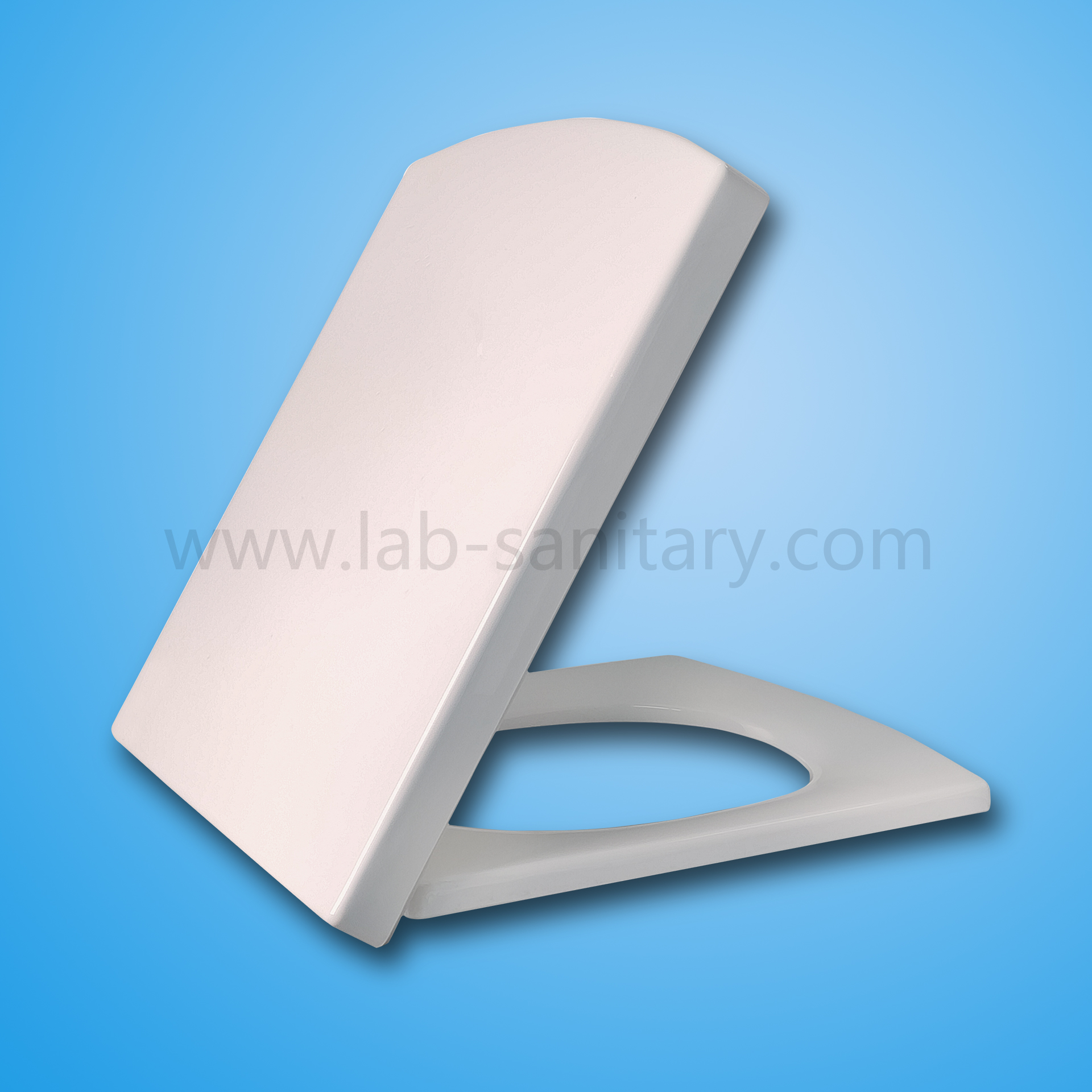 LAB (XIAMEN) SANITARY FITTINGS INC – Lavatory button 2