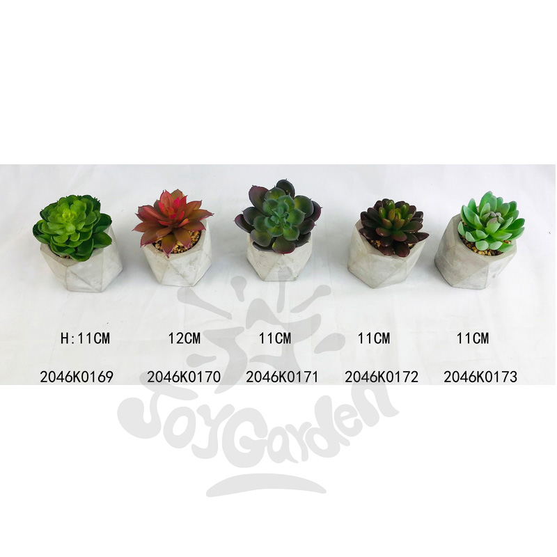 Artificial Succulent in pot