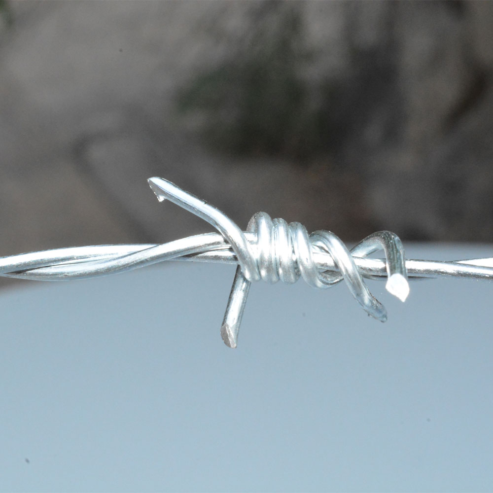 Galvanized Double Twisted Barbed Wire