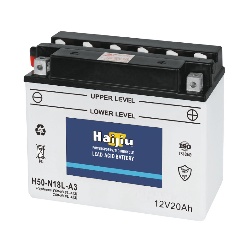Hangzhou Skyrich Power Co., Ltd. – Car battery 3