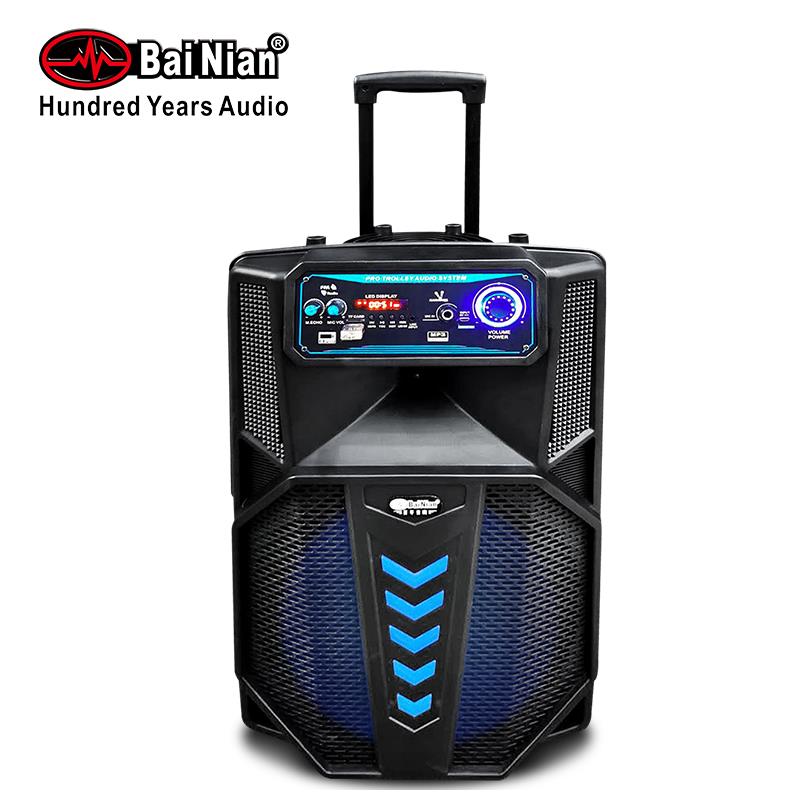 Trolley Speaker、12Inch Portable Trolley Outdoor Active Speaker with Wireless Mic Bluetooth