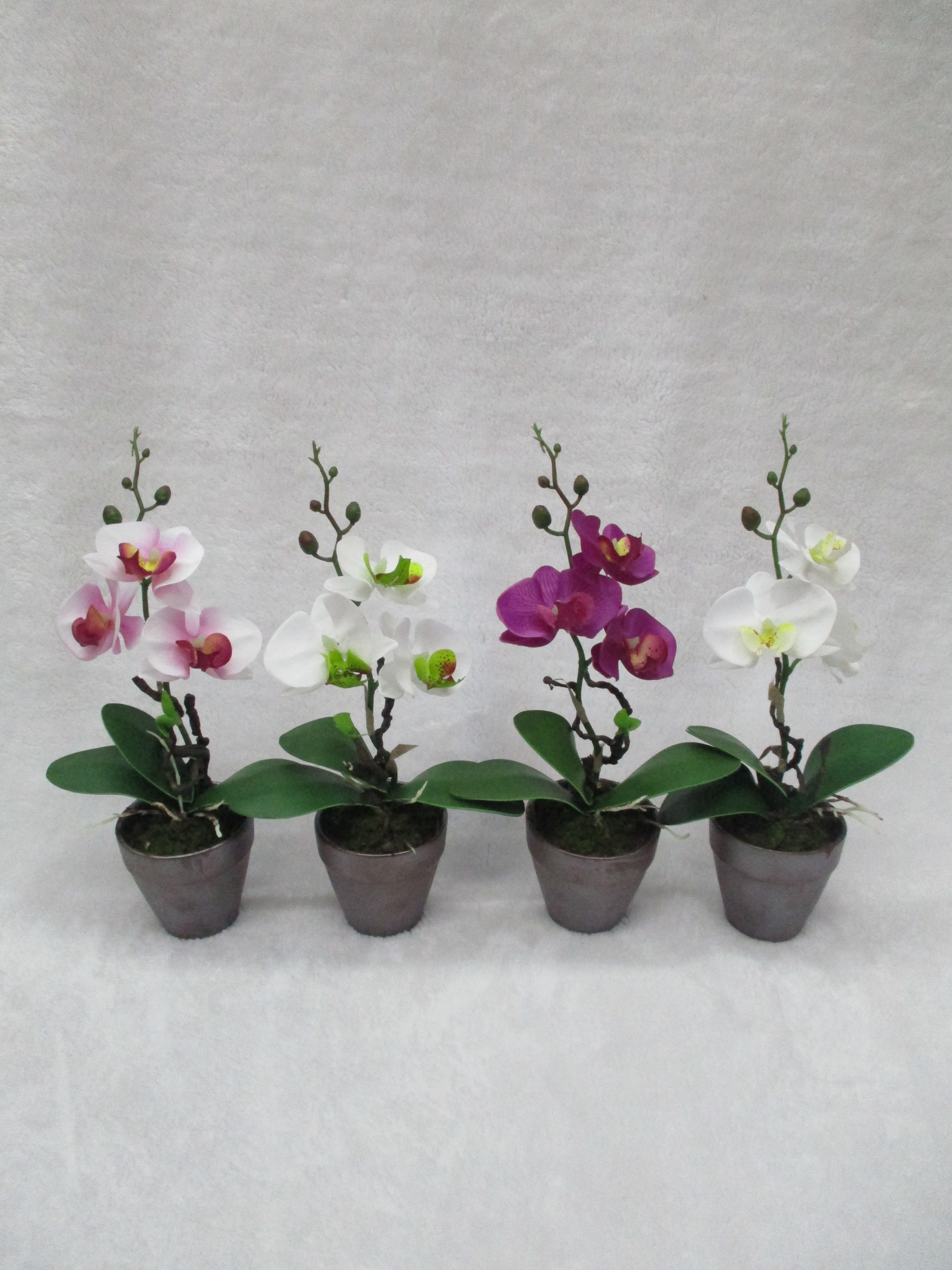 S008mini Potted Orchid