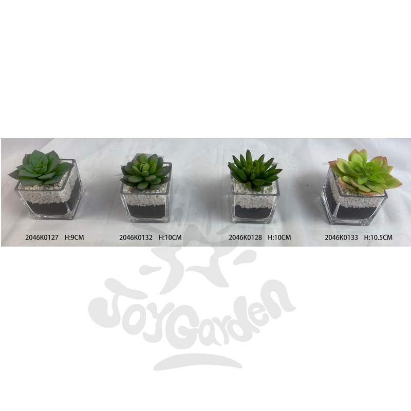 Artificial Succulent in pot