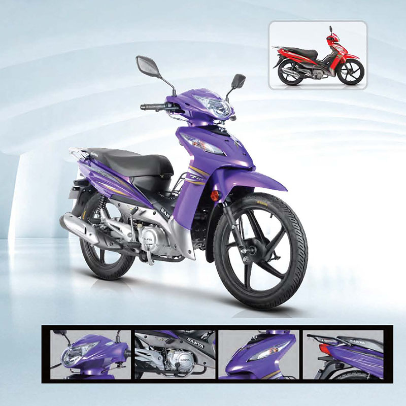 GUANGZHOU SANYA MOTORCYCLE CO., LTD – llanta de caucho 2