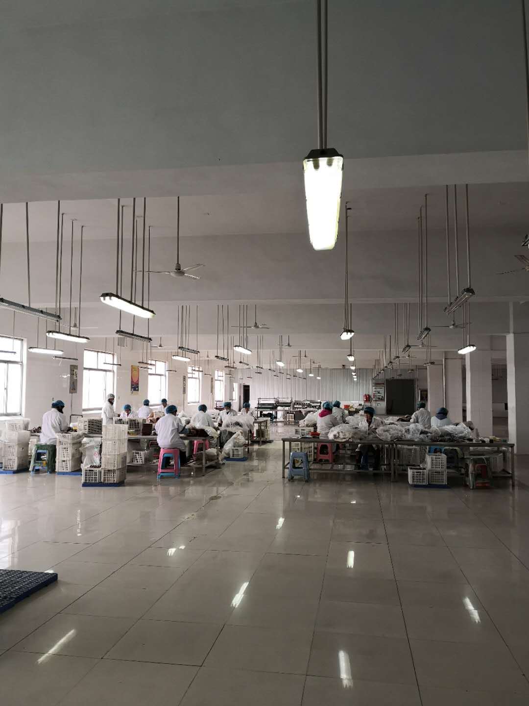 Binzhou Zhanhua Jinman Food Co., Ltd. – dried fruits 2
